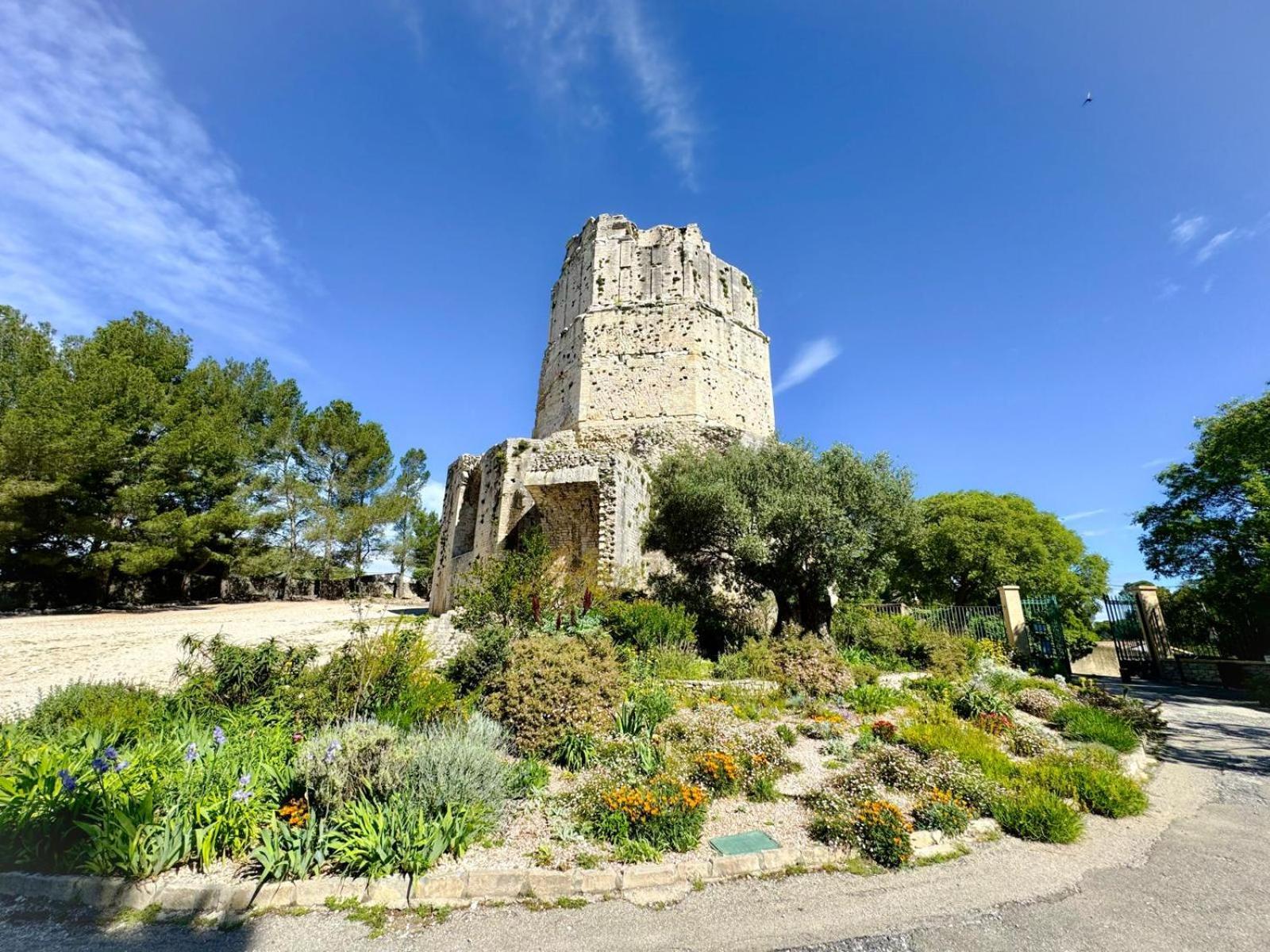 Au Coeur Du Centre Historique - Immeuble Classe - Terrasse - Climatise Nîmes Eksteriør billede